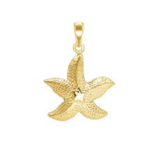 Load image into Gallery viewer, Star on Starfish Charm (37 x 28mm)
