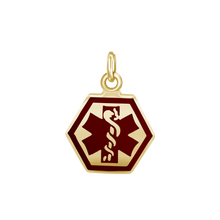 Load image into Gallery viewer, Medical Alert Charm in Sterling Silver (3/8 inch - 1 inch)