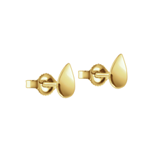 Load image into Gallery viewer, Teardrop Park Earrings