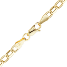 Load image into Gallery viewer, Herald Sq. Semi-Solid Oval Rolo Anklet in 14K Yellow Gold
