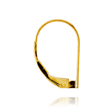 Load image into Gallery viewer, ITI NYC Leverback with Plain Straight Wire and No Ring (17 x 11 mm)