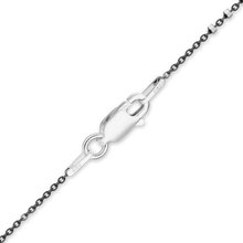 Load image into Gallery viewer, Nassau St. Multi-Studded Cable Chain Necklace in Sterling Silver