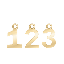 Load image into Gallery viewer, ITI NYC Classic Style Number Pendants in 14K Gold (12.5mm) (100% Polished )