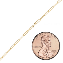 Load image into Gallery viewer, Round Tribeca Trace Paperclip Anklet in 14K Yellow Gold