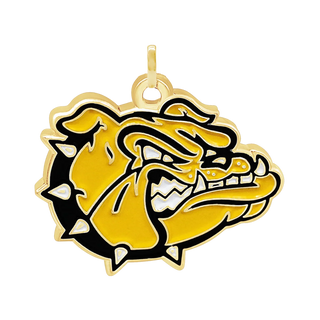 Custom Pins & Charms