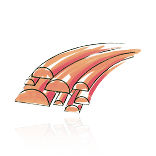 14K Rose Domed Medium Wire