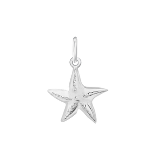 Starfish Charm (20 x 14mm)
