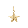 Starfish Charm (20 x 14mm)