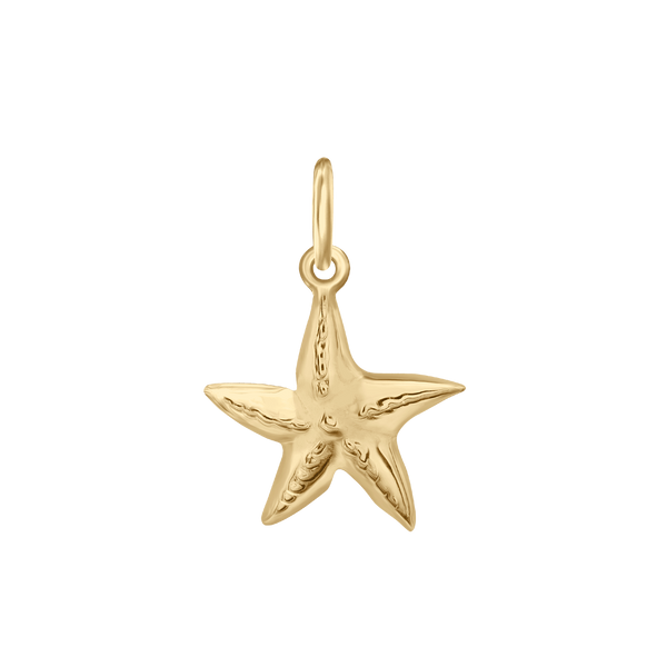 Starfish Charm (20 x 14mm)