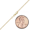 Flat Christopher St. Cable Anklet in 14K Yellow Gold