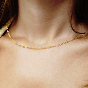 Clinton St. Cable Necklace in 14K Yellow Gold