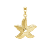 Star on Starfish Charm (37 x 28mm)