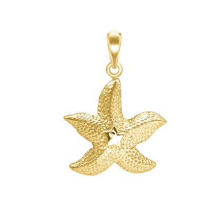 Star on Starfish Charm (37 x 28mm)