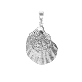 Oyster Shell Charm (34 x 21mm)