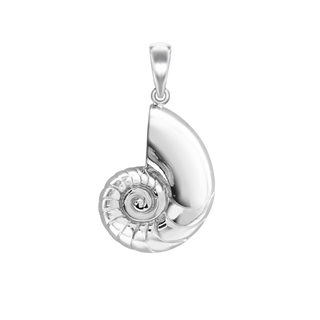 Conch Shell Charm (33 x 17mm)