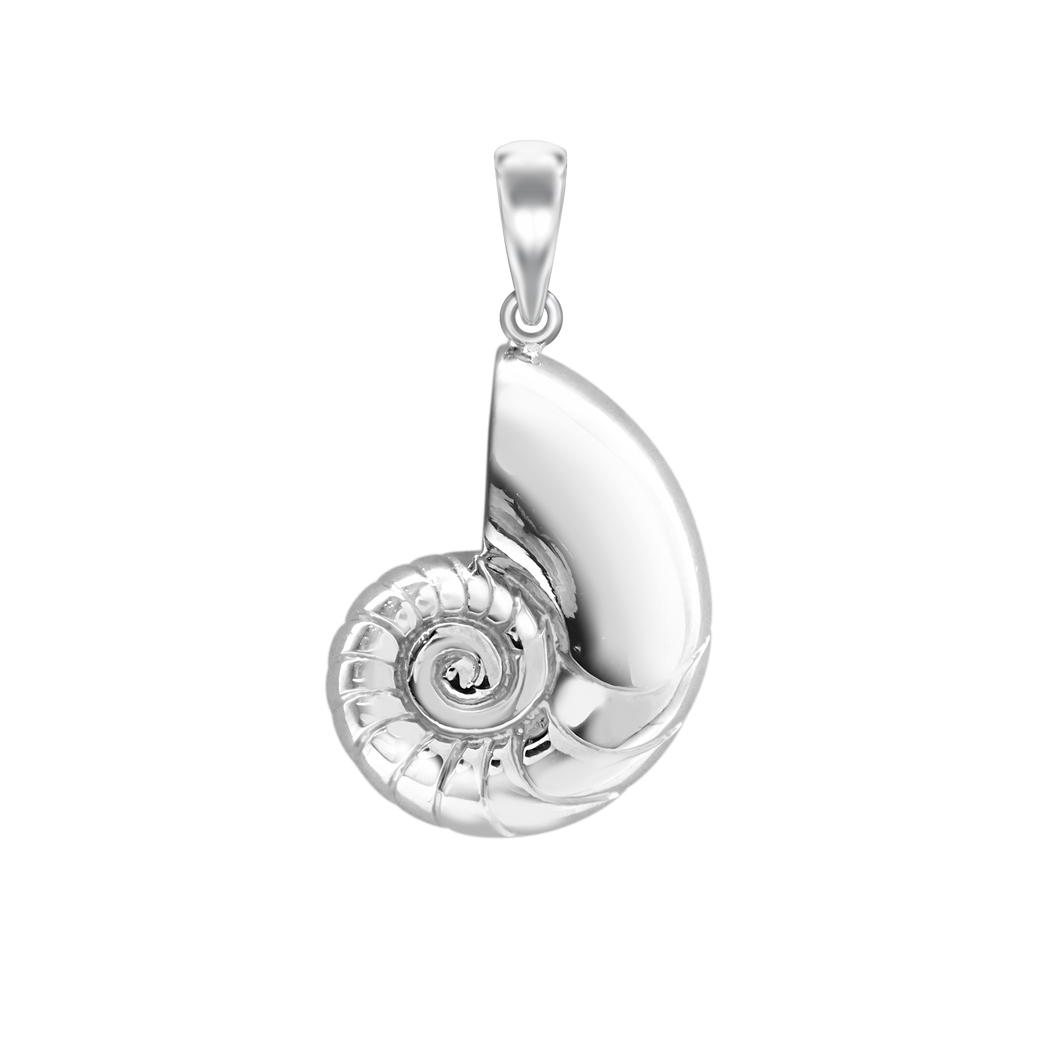 Conch Shell Charm (33 x 17mm)