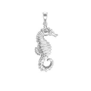 Large Seahorse Charm (41 x 15mm)