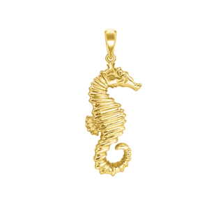 Large Seahorse Charm (41 x 15mm)