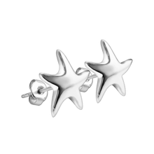 Load image into Gallery viewer, Cape Cod Earrings
