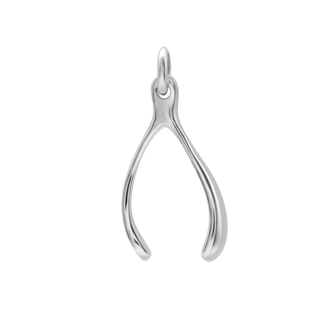 Wish Bone Charm (19 x 9mm)