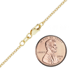 Canal St. Cable Necklace in 14K Yellow Gold