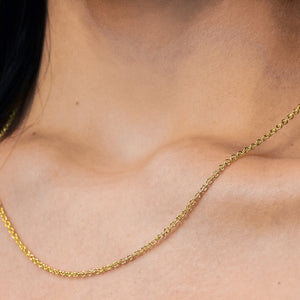 Canal St. Cable Necklace in 14K Yellow Gold