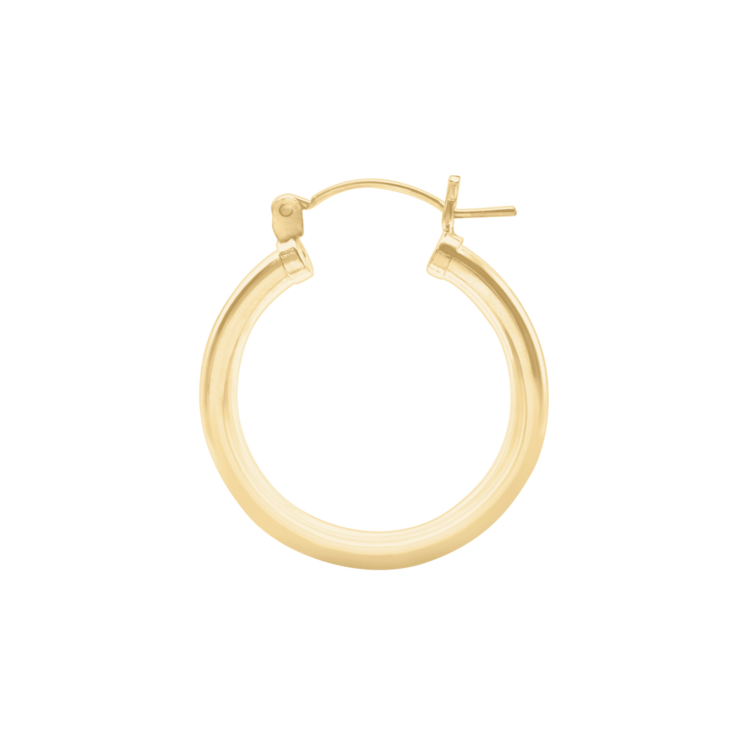 The Cherry Hoop in Gold Filled
