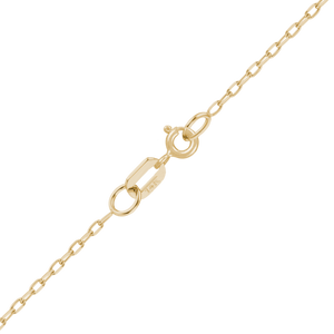 Essex St. Elongated Cable Necklace Necklace with Spring Ring in 14K Yellow Gold