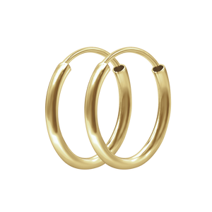 The Hudson Hoop in Gold Filled