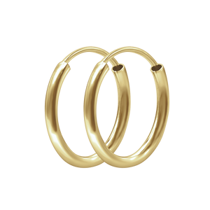 The Hudson Hoop in 14K Yellow Gold