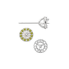 Round Three Prong Halo Earrings with Push Post