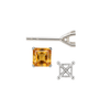 Square Four Prong Martini Style Earrings with Push Post
