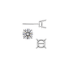 Round Four Prong Standard Weight Basket Earrings with Screw Post