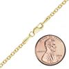 Herald Sq. Semi-Solid Rolo Necklace in 14K Yellow Gold