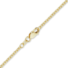 Load image into Gallery viewer, Canal St. Cable Anklet in 14K Yellow Gold
