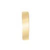 ITI NYC Tradesman(6mm) (Semi-Polished)