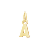 Block Initials (11mm) (100% Polished)