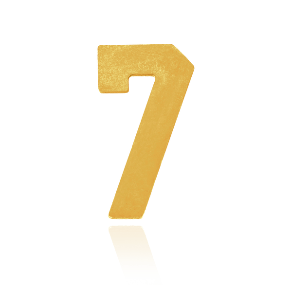 Number Pendants in 14K Gold (9.5mm) (Semi-Polished)