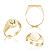 Oval (Vertical) Signet Rings in 14K Yellow Gold (10 x 9 mm)
