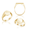 Oval (Vertical) Signet Rings in 14K Yellow Gold (10 x 9 mm)