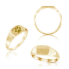Rectangular Signet Rings in 14K Yellow Gold (10 x 6 mm)