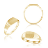 Rectangular Signet Rings in 14K Yellow Gold (10 x 6 mm)