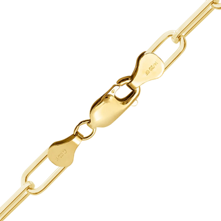 Finished Heavy Square Paperclip Anklet in 14K Gold-Filled