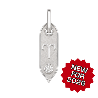 Zodiac Initial Pendant Charms in Sterling Silver (25.00 mm)