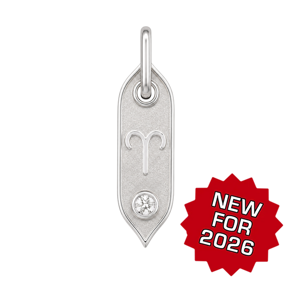 Zodiac Initial Pendant Charms in Sterling Silver (25.00 mm)