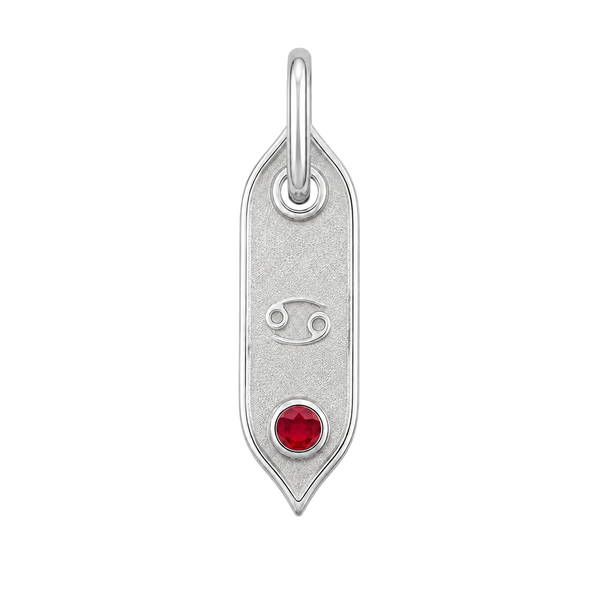 Zodiac Initial Pendant Charms in Sterling Silver (25.00 mm)