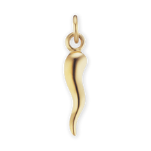 Load image into Gallery viewer, ITI NYC Italian Horn Pendant in 14K Gold
