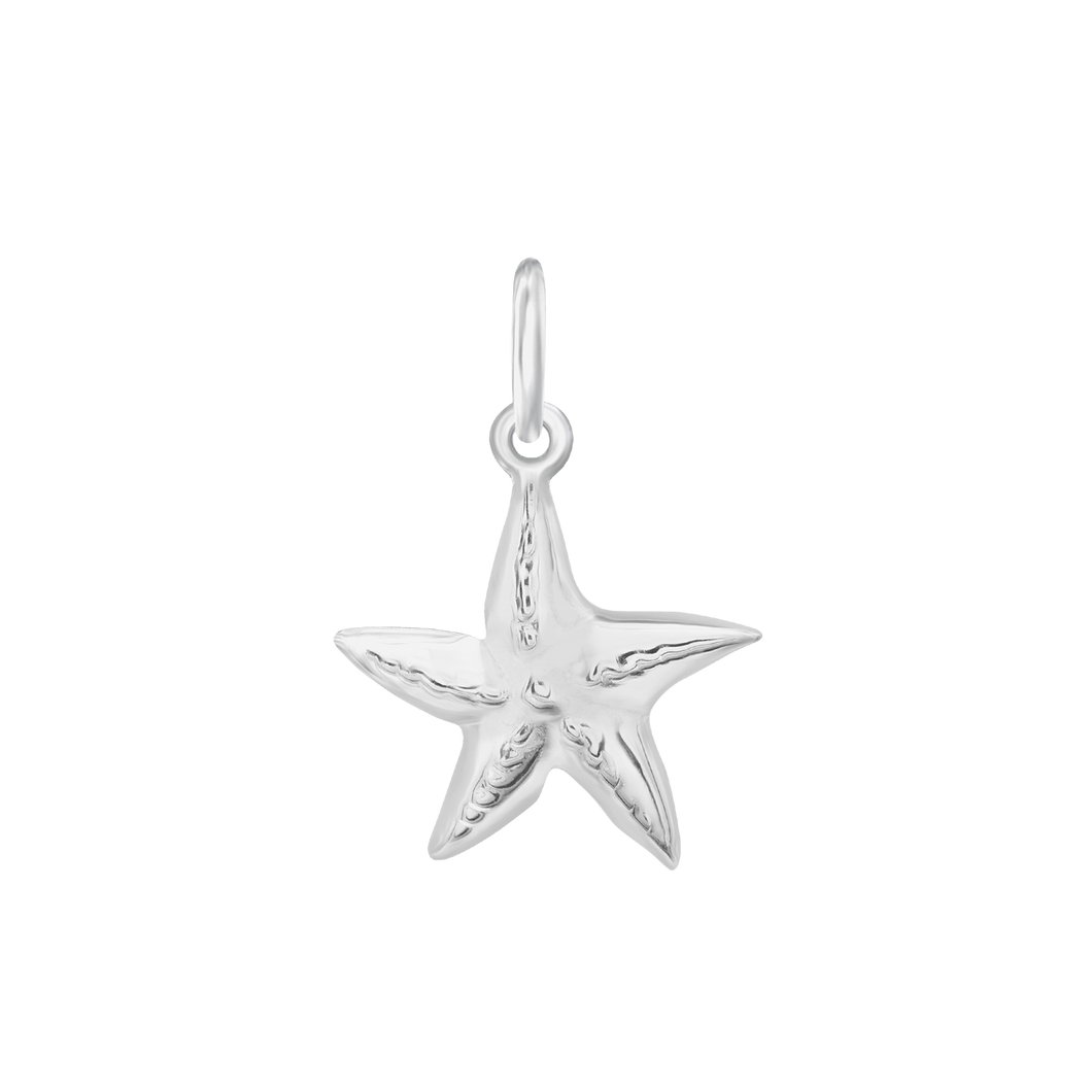 Starfish Charm (20 x 14mm)