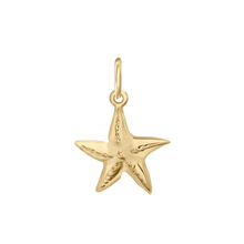 Load image into Gallery viewer, Starfish Charm (20 x 14mm)
