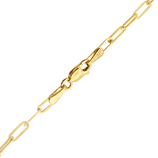 Tribeca Trace Paperclip Anklet in 14K Yellow Gold